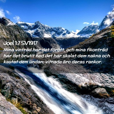 Picture 02 - Joel 1:7 SV1917 - Mina vinträd har det förött, och mina - Bible Verse Picture