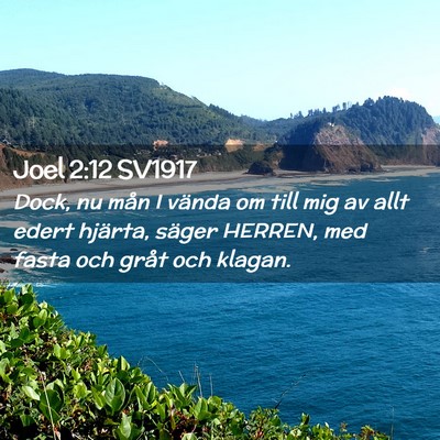 Picture 02 - Joel 2:12 SV1917 - Dock, nu mån I vända om till mig av allt edert - Bible Verse Picture