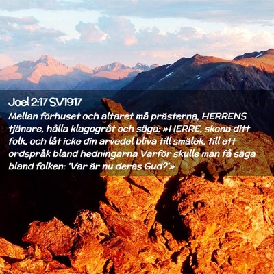 Picture 02 - Joel 2:17 SV1917 - Mellan förhuset och altaret må prästerna, - Bible Verse Picture
