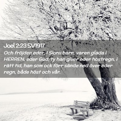 Picture 02 - Joel 2:23 SV1917 - Och fröjden eder, I Sions barn, varen glada i - Bible Verse Picture