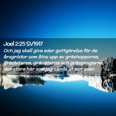 Picture 02 - Joel 2:25 SV1917 - Och jag skall giva eder gottgörelse för de - Bible Verse Picture