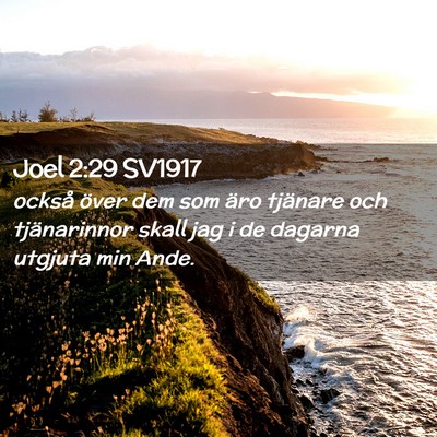 Picture 02 - Joel 2:29 SV1917 - också över dem som äro tjänare och - Bible Verse Picture
