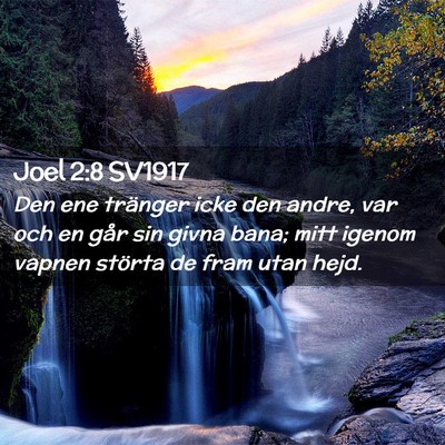 Picture 02 - Joel 2:8 SV1917 - Den ene tränger icke den andre, var och en går - Bible Verse Picture