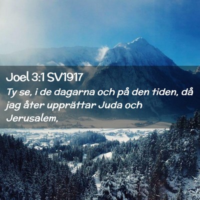 Picture 02 - Joel 3:1 SV1917 - Ty se, i de dagarna och på den tiden, då jag - Bible Verse Picture