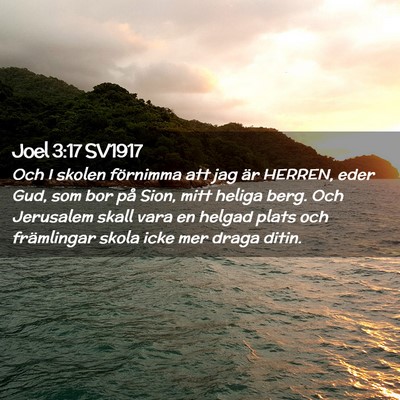 Picture 02 - Joel 3:17 SV1917 - Och I skolen förnimma att jag är HERREN, eder - Bible Verse Picture