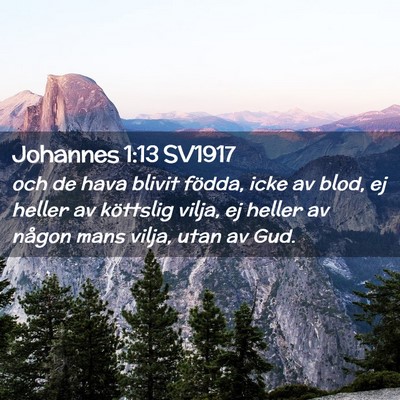 Picture 02 - Johannes 1:13 SV1917 - och de hava blivit födda, icke av blod, ej - Bible Verse Picture
