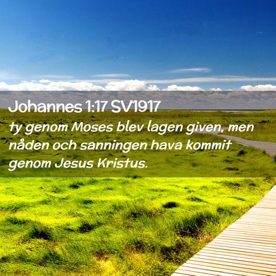 Picture 02 - Johannes 1:17 SV1917 - ty genom Moses blev lagen given, men nåden och - Bible Verse Picture