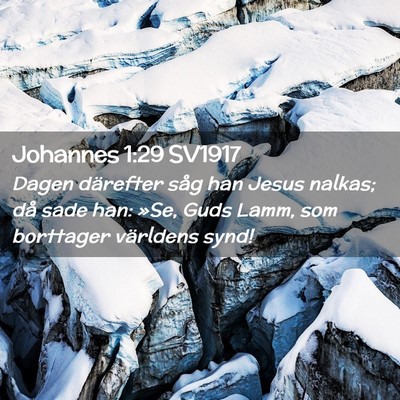 Picture 02 - Johannes 1:29 SV1917 - Dagen därefter såg han Jesus nalkas; då sade - Bible Verse Picture