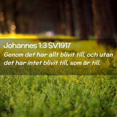 Picture 02 - Johannes 1:3 SV1917 - Genom det har allt blivit till, och utan det har - Bible Verse Picture