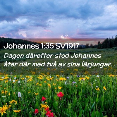 Picture 02 - Johannes 1:35 SV1917 - Dagen därefter stod Johannes åter där med två - Bible Verse Picture