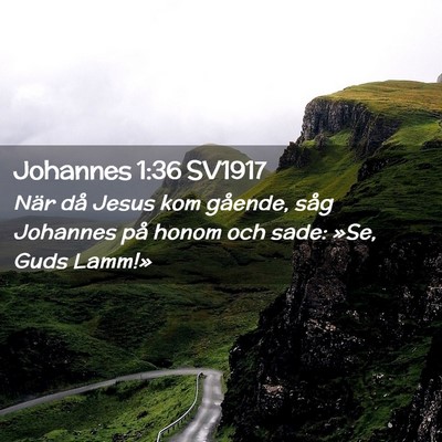 Picture 02 - Johannes 1:36 SV1917 - När då Jesus kom gående, såg Johannes på - Bible Verse Picture