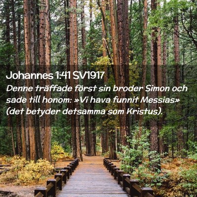 Picture 02 - Johannes 1:41 SV1917 - Denne träffade först sin broder Simon och sade - Bible Verse Picture