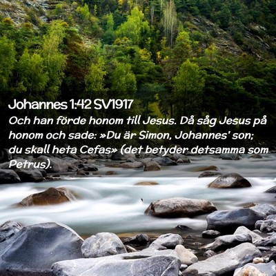 Picture 02 - Johannes 1:42 SV1917 - Och han förde honom till Jesus. Då såg Jesus - Bible Verse Picture