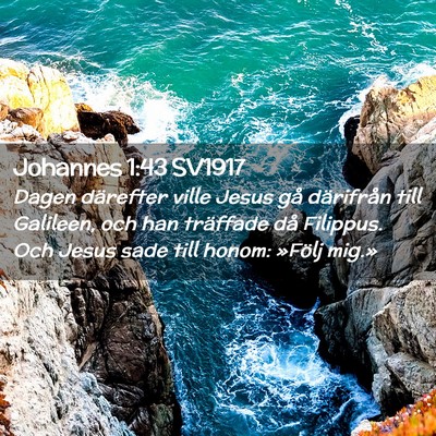 Picture 02 - Johannes 1:43 SV1917 - Dagen därefter ville Jesus gå därifrån till - Bible Verse Picture