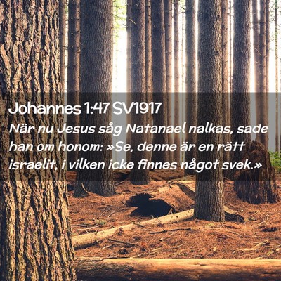 Picture 02 - Johannes 1:47 SV1917 - När nu Jesus såg Natanael nalkas, sade han om - Bible Verse Picture