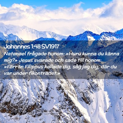Picture 02 - Johannes 1:48 SV1917 - Natanael frågade honom: »Huru kunna du känna - Bible Verse Picture