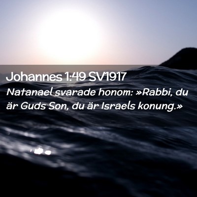 Picture 02 - Johannes 1:49 SV1917 - Natanael svarade honom: »Rabbi, du är Guds Son, - Bible Verse Picture