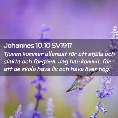 Picture 02 - Johannes 10:10 SV1917 - Tjuven kommer allenast för att stjäla och - Bible Verse Picture