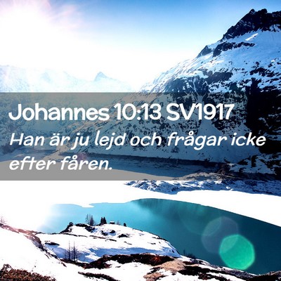 Picture 02 - Johannes 10:13 SV1917 - Han är ju lejd och frågar icke efter - Bible Verse Picture