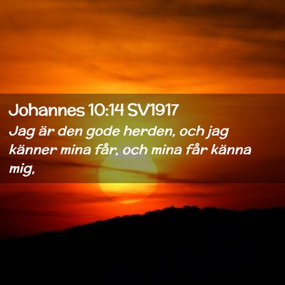 Picture 02 - Johannes 10:14 SV1917 - Jag är den gode herden, och jag känner mina - Bible Verse Picture