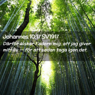 Picture 02 - Johannes 10:17 SV1917 - Därför älskar Fadern mig, att jag giver mitt - Bible Verse Picture