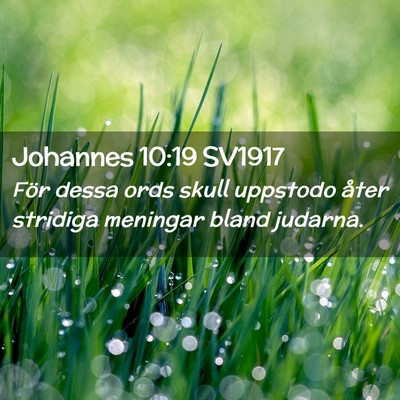 Picture 02 - Johannes 10:19 SV1917 - För dessa ords skull uppstodo åter stridiga - Bible Verse Picture