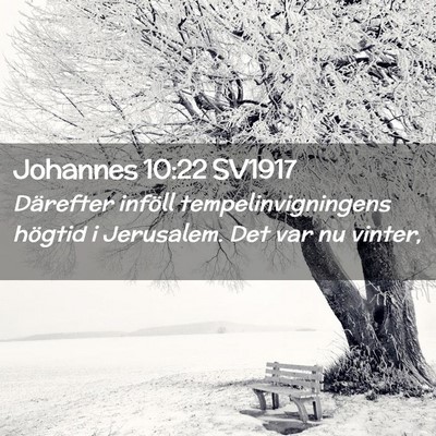 Picture 02 - Johannes 10:22 SV1917 - Därefter inföll tempelinvigningens högtid i - Bible Verse Picture