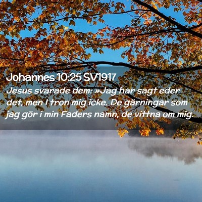 Picture 02 - Johannes 10:25 SV1917 - Jesus svarade dem: »Jag har sagt eder det, men I - Bible Verse Picture