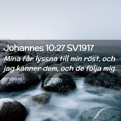 Picture 02 - Johannes 10:27 SV1917 - Mina får lyssna till min röst, och jag känner - Bible Verse Picture