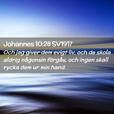 Picture 02 - Johannes 10:28 SV1917 - Och jag giver dem evigt liv, och de skola aldrig - Bible Verse Picture