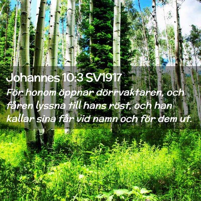 Picture 02 - Johannes 10:3 SV1917 - För honom öppnar dörrvaktaren, och fåren - Bible Verse Picture