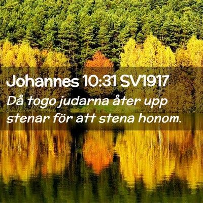 Picture 02 - Johannes 10:31 SV1917 - Då togo judarna åter upp stenar för att stena - Bible Verse Picture