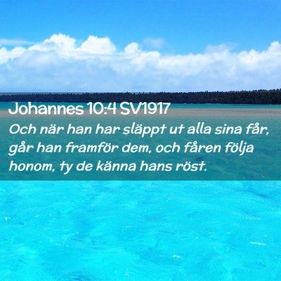 Picture 02 - Johannes 10:4 SV1917 - Och när han har släppt ut alla sina får, går - Bible Verse Picture