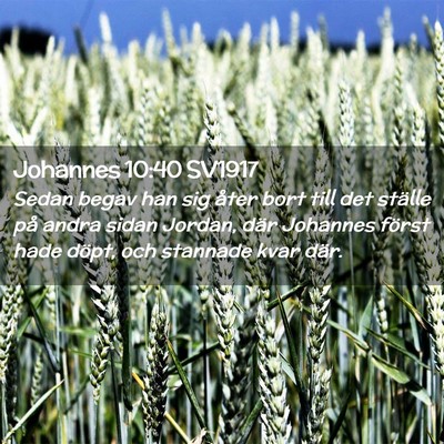 Picture 02 - Johannes 10:40 SV1917 - Sedan begav han sig åter bort till det ställe - Bible Verse Picture