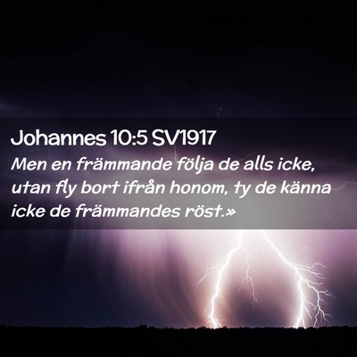 Picture 02 - Johannes 10:5 SV1917 - Men en främmande följa de alls icke, utan fly - Bible Verse Picture