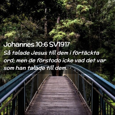 Picture 02 - Johannes 10:6 SV1917 - Så talade Jesus till dem i förtäckta ord; men - Bible Verse Picture