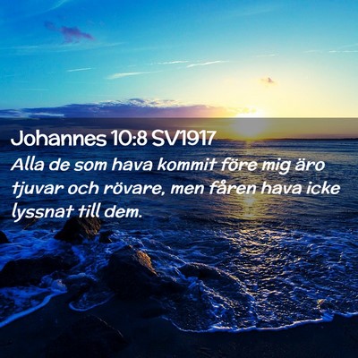 Picture 02 - Johannes 10:8 SV1917 - Alla de som hava kommit före mig äro tjuvar och - Bible Verse Picture