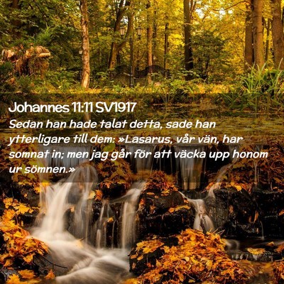 Picture 02 - Johannes 11:11 SV1917 - Sedan han hade talat detta, sade han ytterligare - Bible Verse Picture