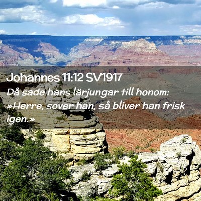 Picture 02 - Johannes 11:12 SV1917 - Då sade hans lärjungar till honom: »Herre, - Bible Verse Picture