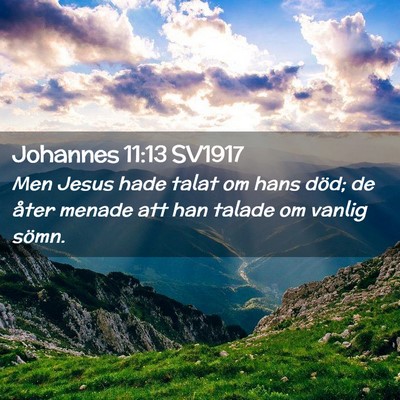Picture 02 - Johannes 11:13 SV1917 - Men Jesus hade talat om hans död; de åter - Bible Verse Picture