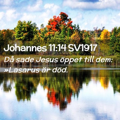 Picture 02 - Johannes 11:14 SV1917 - Då sade Jesus öppet till dem: »Lasarus är - Bible Verse Picture