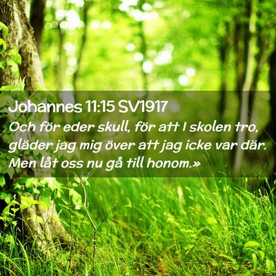 Picture 02 - Johannes 11:15 SV1917 - Och för eder skull, för att I skolen tro, - Bible Verse Picture