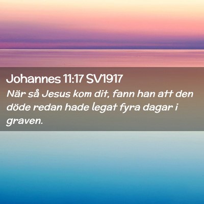 Picture 02 - Johannes 11:17 SV1917 - När så Jesus kom dit, fann han att den döde - Bible Verse Picture