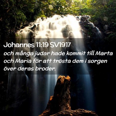 Picture 02 - Johannes 11:19 SV1917 - och många judar hade kommit till Marta och Maria - Bible Verse Picture