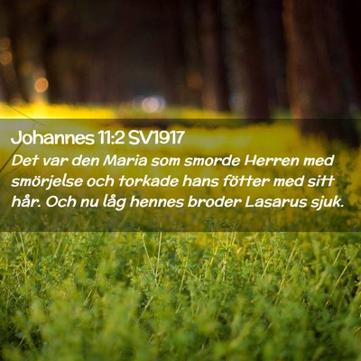Picture 02 - Johannes 11:2 SV1917 - Det var den Maria som smorde Herren med - Bible Verse Picture