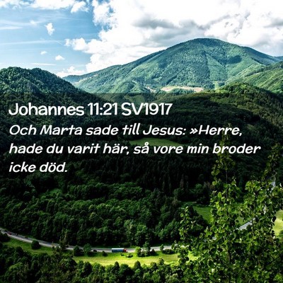Picture 02 - Johannes 11:21 SV1917 - Och Marta sade till Jesus: »Herre, hade du varit - Bible Verse Picture