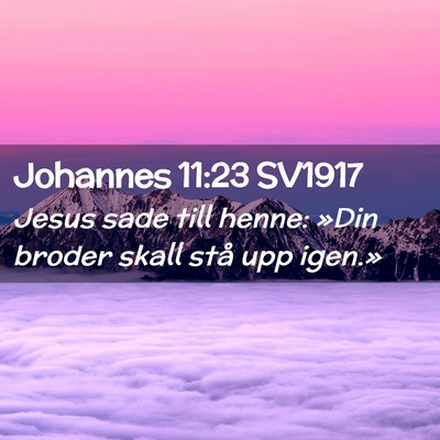Picture 02 - Johannes 11:23 SV1917 - Jesus sade till henne: »Din broder skall stå - Bible Verse Picture