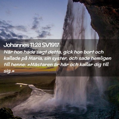 Picture 02 - Johannes 11:28 SV1917 - När hon hade sagt detta, gick hon bort och - Bible Verse Picture