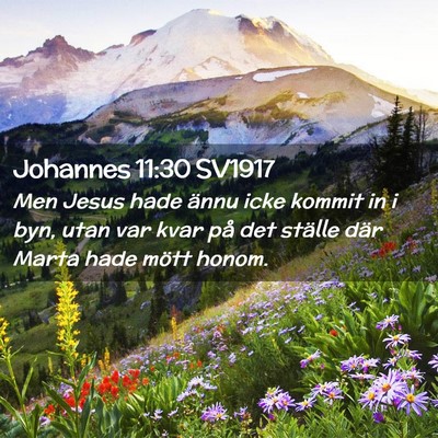 Picture 02 - Johannes 11:30 SV1917 - Men Jesus hade ännu icke kommit in i byn, utan - Bible Verse Picture