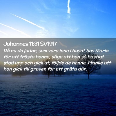 Picture 02 - Johannes 11:31 SV1917 - Då nu de judar, som voro inne i huset hos Maria - Bible Verse Picture